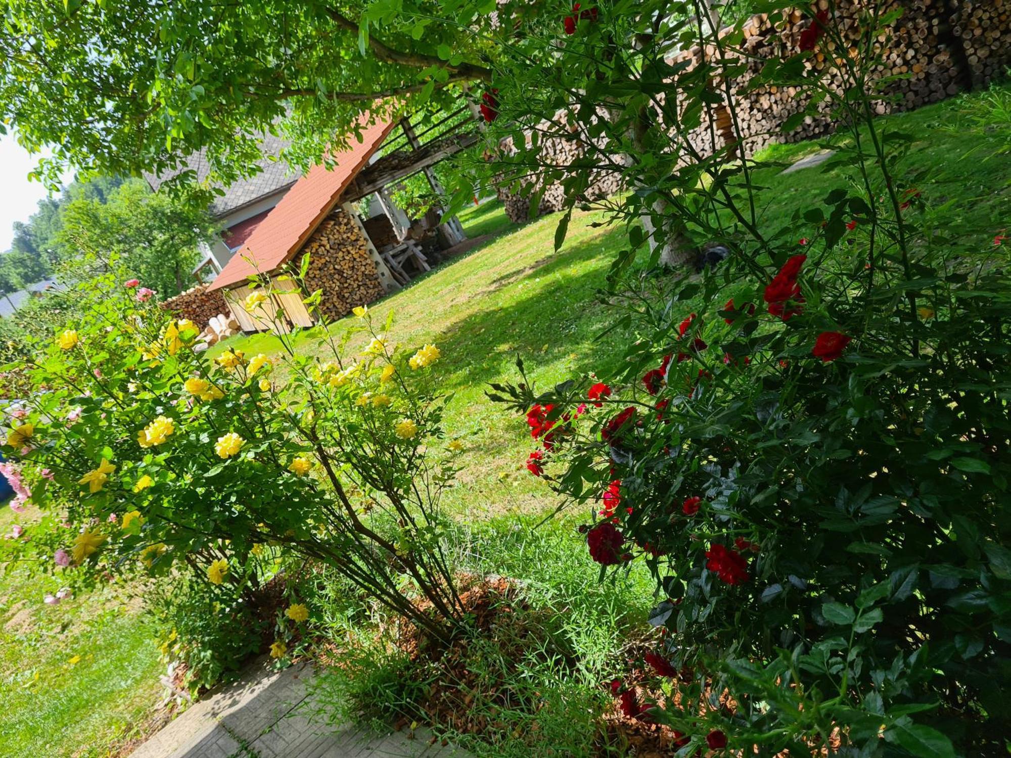 Gostilna Batist Bed & Breakfast Bohinjska Bela Ngoại thất bức ảnh